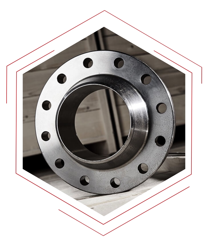 Stainless Steel Flanges