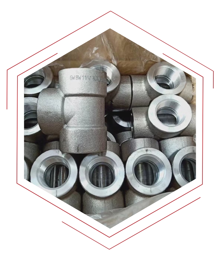 Stainless Steel Forged Fittings