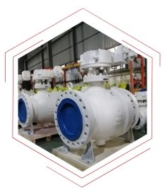 Ball Valve