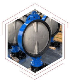 Butterfly Valve